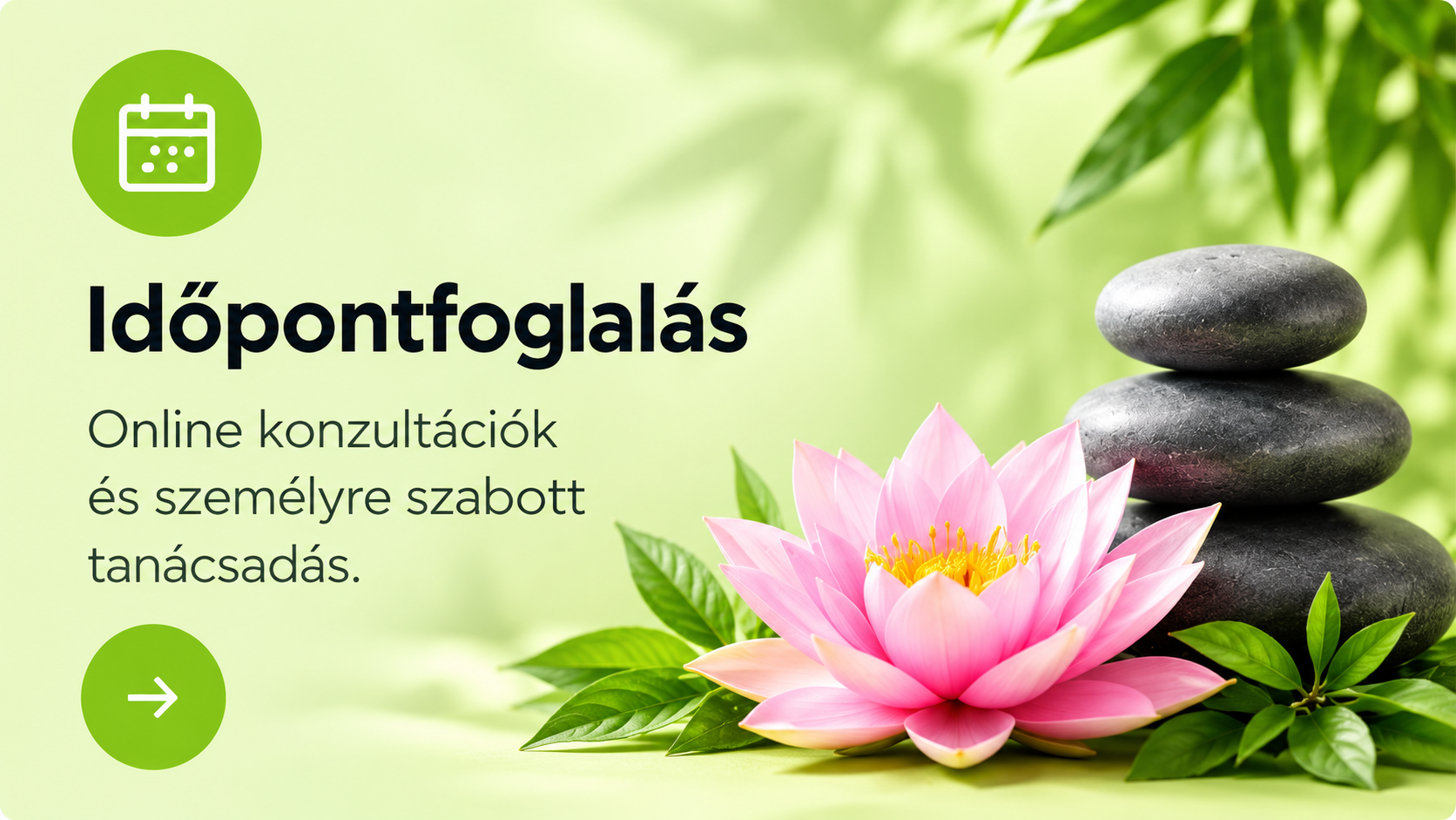 Időpontfoglalás. Online konzultációk és személyre szabott tanácsadás.
